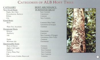 The Species of Trees the Asian Longhorned Beetle Favors