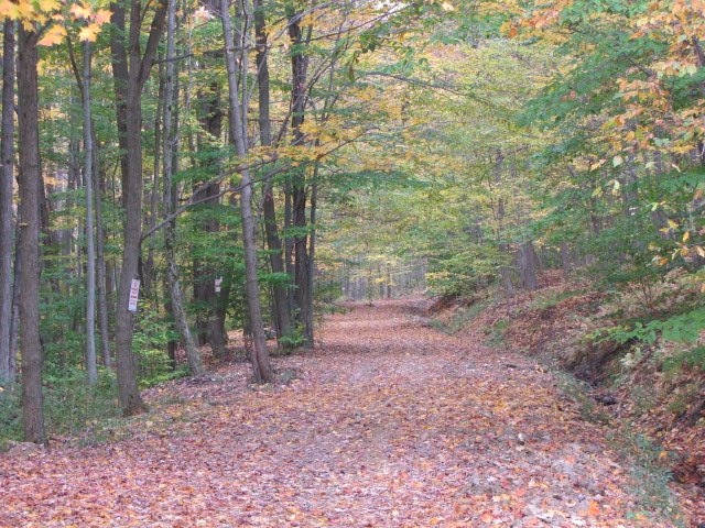 Fall at Triple R Camping Resort in Western NY