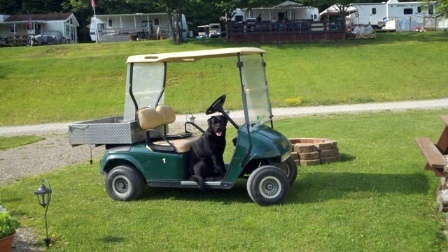 Golf Cart at Triple R Camping Resort in Western NY