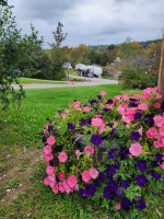 flowers at Triple R Camping Resort a campground in WNY